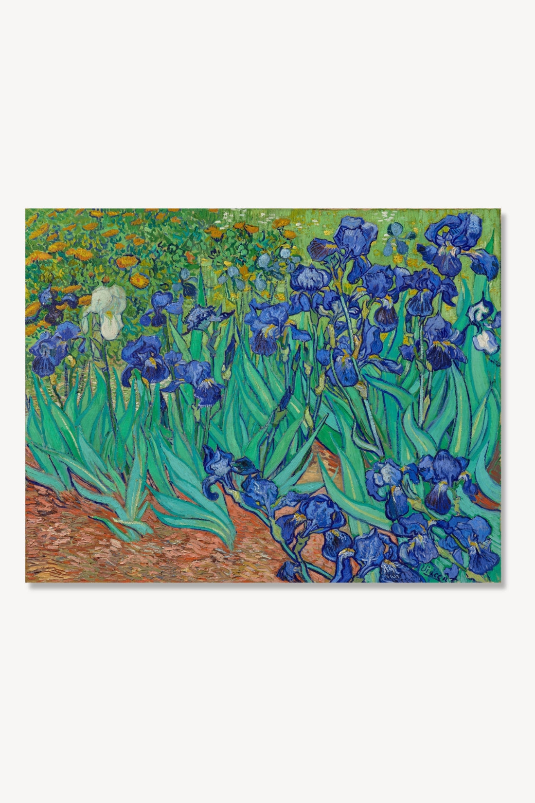 Glass Irises Brooch